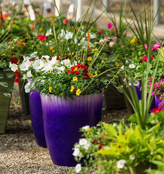 McNitt Growers beautiful planters available at great prices